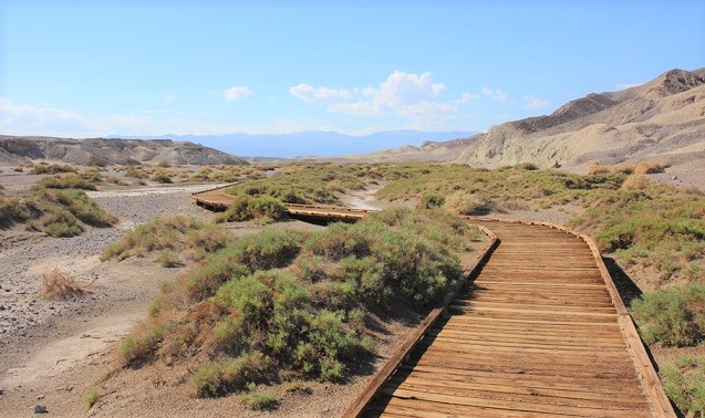 Death Valley10