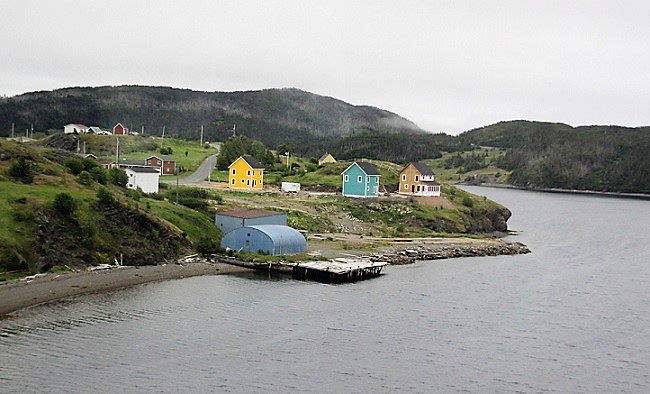 Newfoundland1
