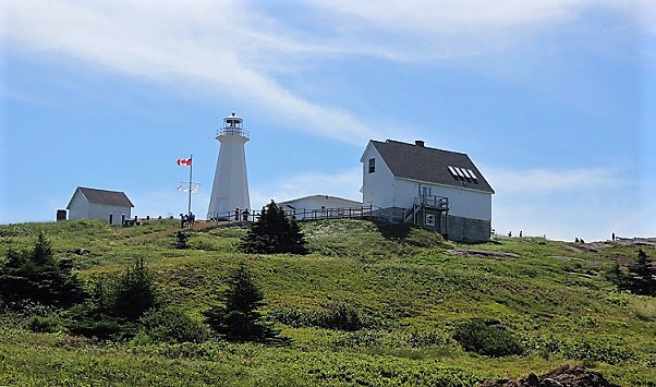 Newfoundland114